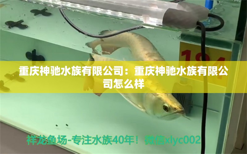 重庆神驰水族有限公司：重庆神驰水族有限公司怎么样 全国水族馆企业名录