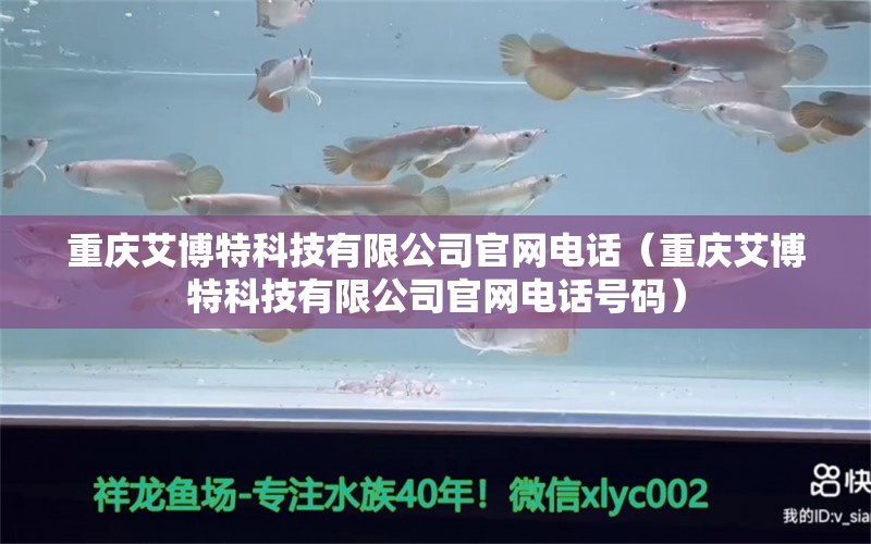 重庆艾博特科技有限公司官网电话（重庆艾博特科技有限公司官网电话号码）