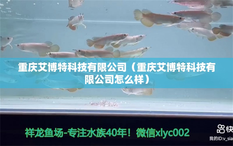 重庆艾博特科技有限公司（重庆艾博特科技有限公司怎么样） 博特水族