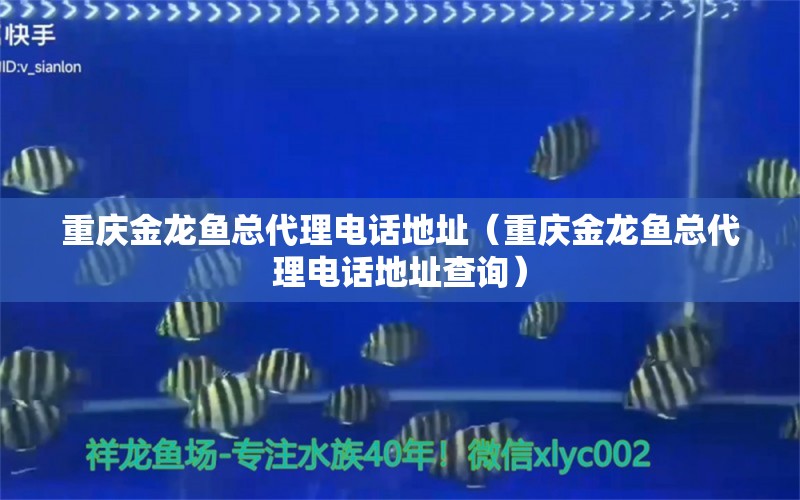 重庆金龙鱼总代理电话地址（重庆金龙鱼总代理电话地址查询） 观赏鱼市场（混养鱼）