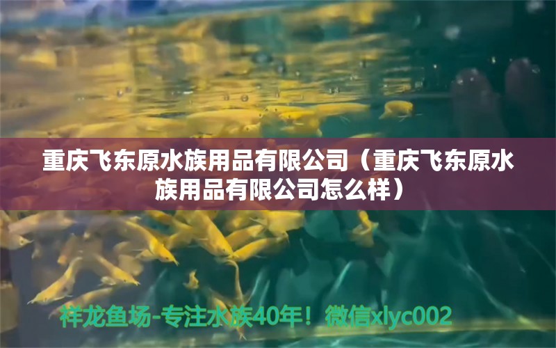 重庆飞东原水族用品有限公司（重庆飞东原水族用品有限公司怎么样） 水族用品