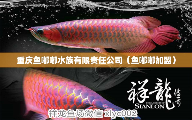 重庆鱼嘟嘟水族有限责任公司（鱼嘟嘟加盟）