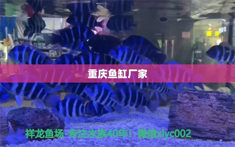 重庆鱼缸厂家