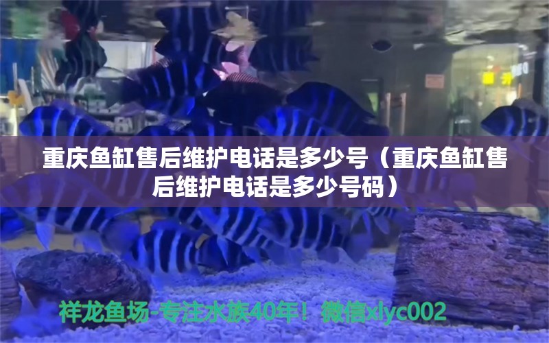 重庆鱼缸售后维护电话是多少号（重庆鱼缸售后维护电话是多少号码）