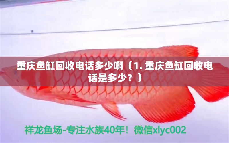 重庆鱼缸回收电话多少啊（1. 重庆鱼缸回收电话是多少？） 水族问答 第1张