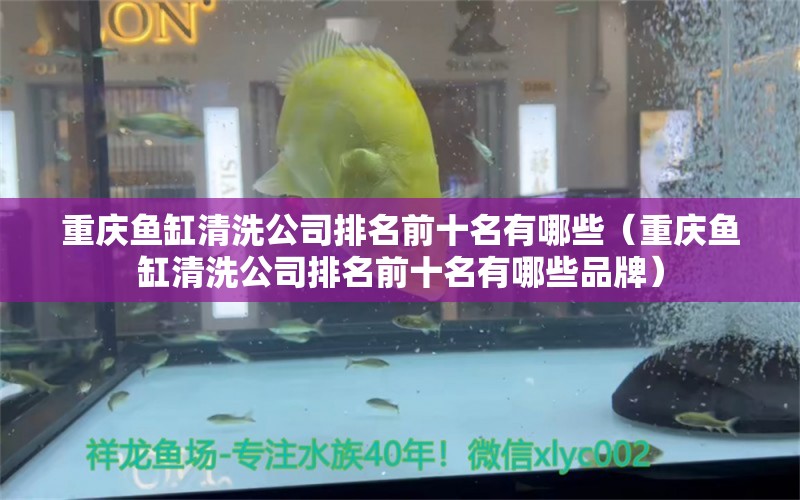 重庆鱼缸清洗公司排名前十名有哪些（重庆鱼缸清洗公司排名前十名有哪些品牌）