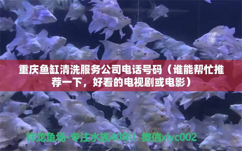 重庆鱼缸清洗服务公司电话号码（谁能帮忙推荐一下，好看的电视剧或电影） 红勾银版鱼 第1张