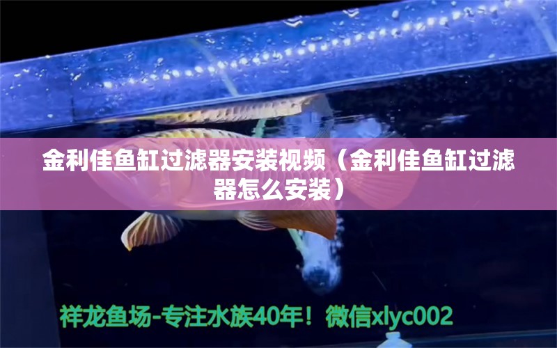 金利佳鱼缸过滤器安装视频（金利佳鱼缸过滤器怎么安装） 帝王血钻