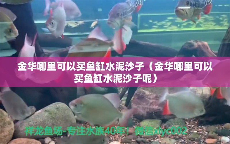 金华哪里可以买鱼缸水泥沙子（金华哪里可以买鱼缸水泥沙子呢） 熊猫异形鱼L46