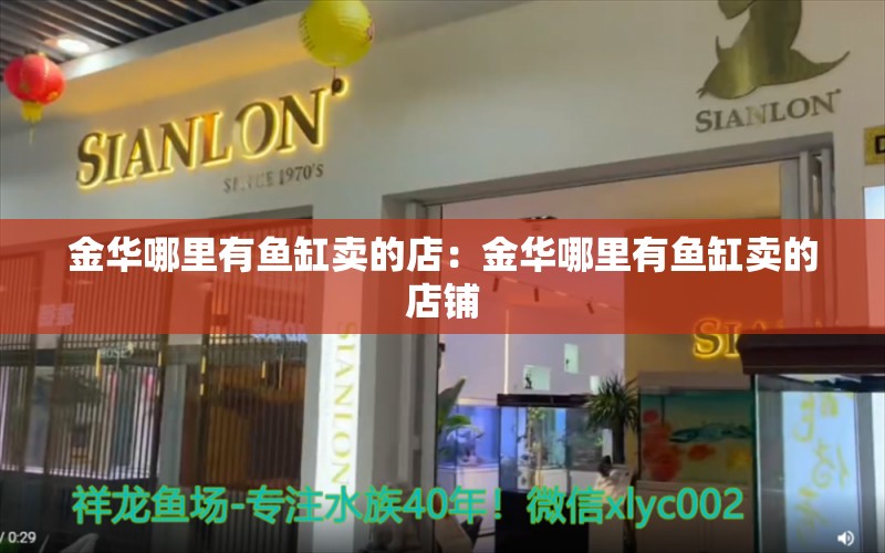 金华哪里有鱼缸卖的店：金华哪里有鱼缸卖的店铺 观赏鱼市场（混养鱼）