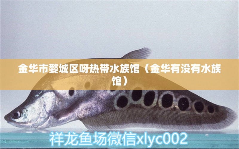 金华市婺城区呀热带水族馆（金华有没有水族馆）