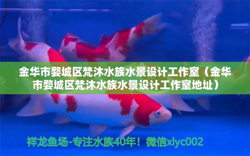 金华市婺城区梵沐水族水景设计工作室（金华市婺城区梵沐水族水景设计工作室地址） 全国水族馆企业名录