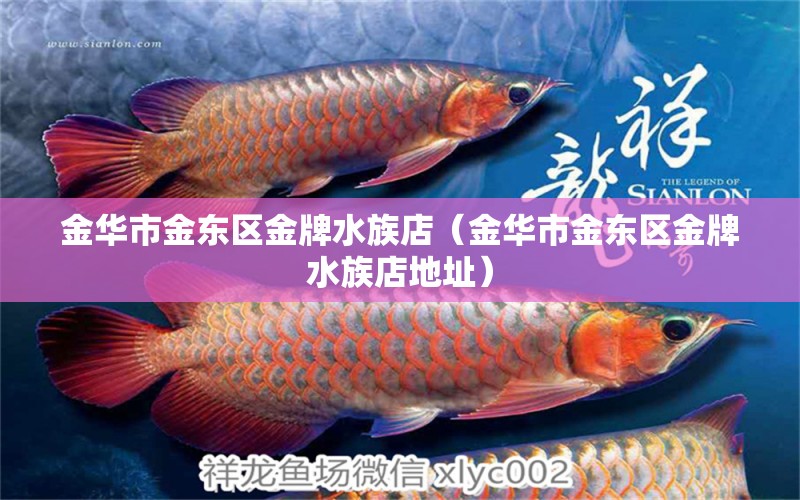 金华市金东区金牌水族店（金华市金东区金牌水族店地址）