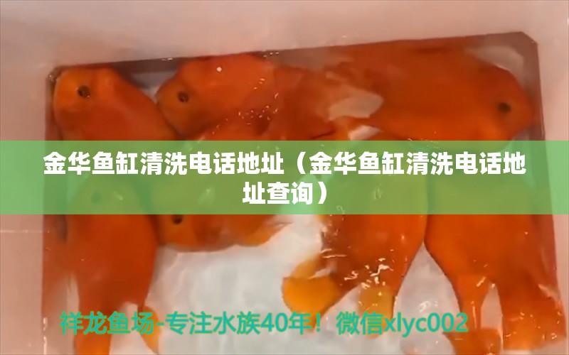 金华鱼缸清洗电话地址（金华鱼缸清洗电话地址查询） 祥龙水族医院