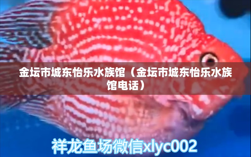 金坛市城东怡乐水族馆（金坛市城东怡乐水族馆电话）