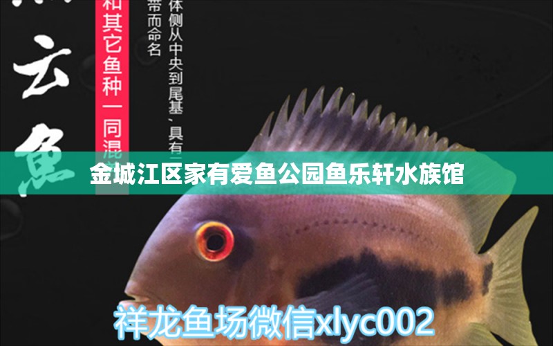 金城江区家有爱鱼公园鱼乐轩水族馆