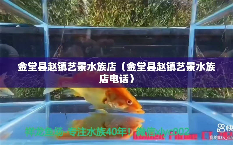 金堂县赵镇艺景水族店（金堂县赵镇艺景水族店电话）