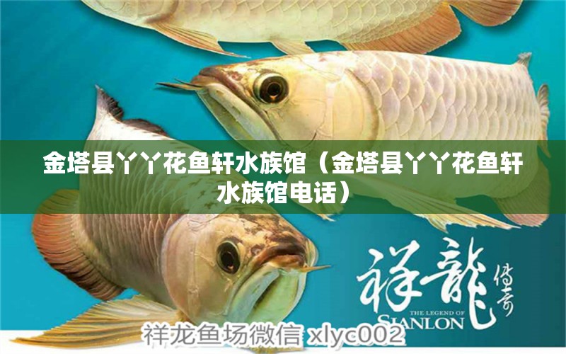 金塔县丫丫花鱼轩水族馆（金塔县丫丫花鱼轩水族馆电话）