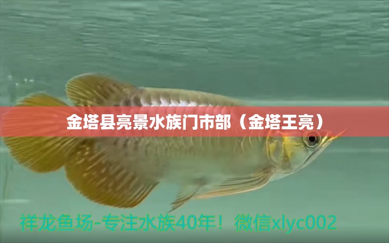 金塔县亮景水族门市部（金塔王亮）