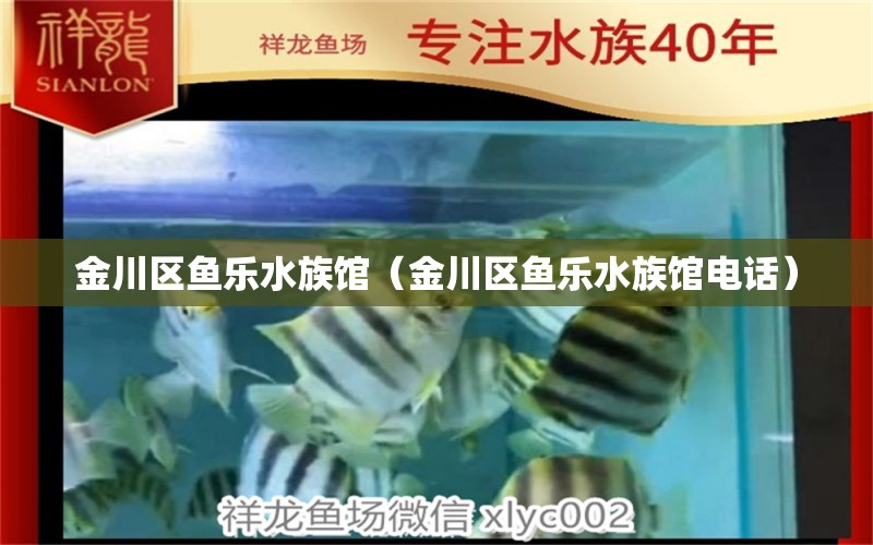 金川区鱼乐水族馆（金川区鱼乐水族馆电话）