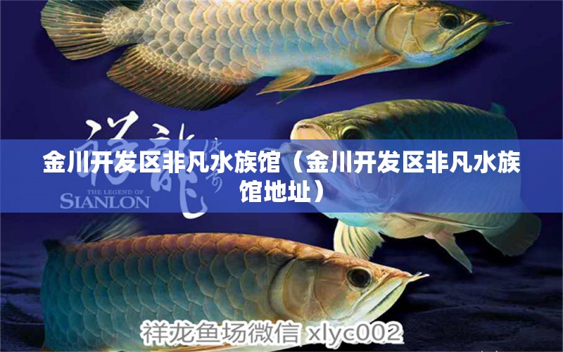 金川开发区非凡水族馆（金川开发区非凡水族馆地址） 全国水族馆企业名录