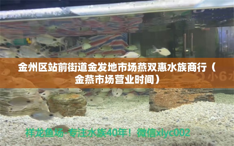 金州区站前街道金发地市场燕双惠水族商行（金燕市场营业时间）