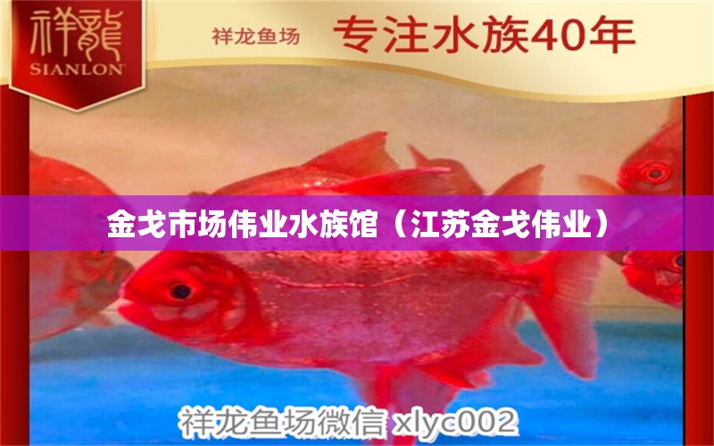 金戈市场伟业水族馆（江苏金戈伟业）