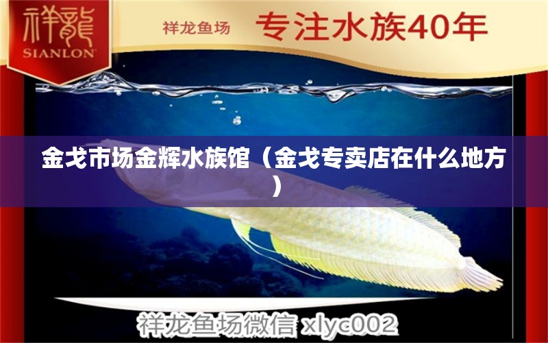 金戈市场金辉水族馆（金戈专卖店在什么地方） 全国水族馆企业名录