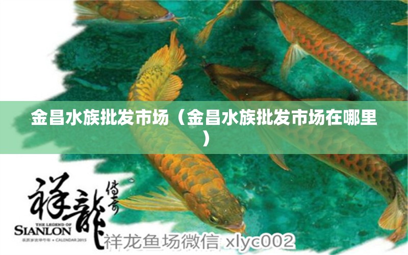 金昌水族批发市场（金昌水族批发市场在哪里）