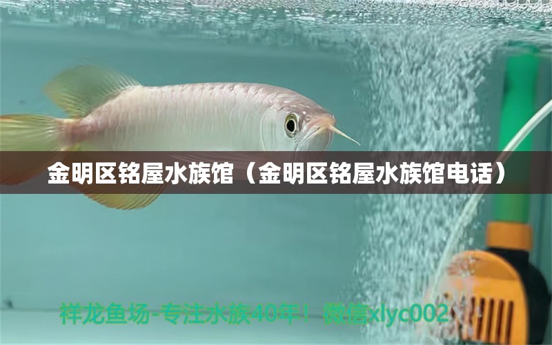 金明区铭屋水族馆（金明区铭屋水族馆电话） 全国水族馆企业名录