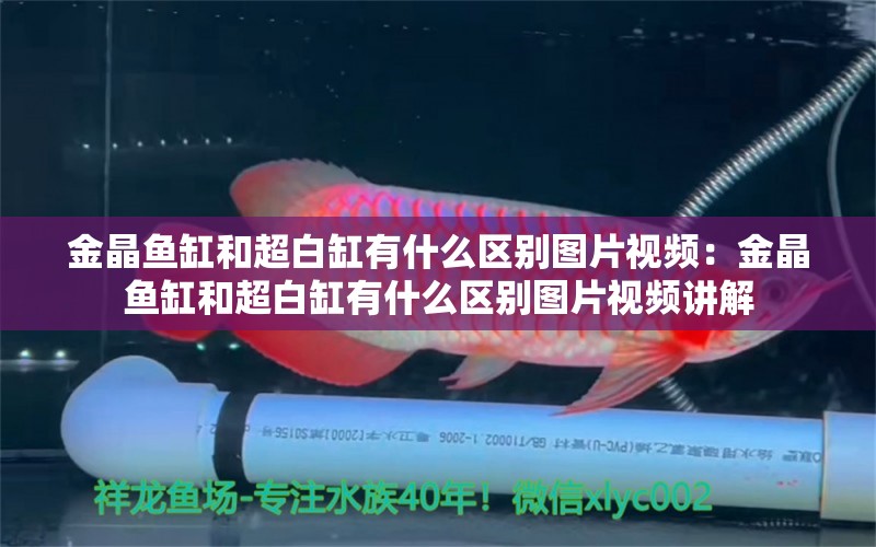 金晶鱼缸和超白缸有什么区别图片视频：金晶鱼缸和超白缸有什么区别图片视频讲解