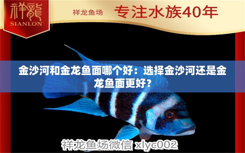 金沙河和金龙鱼面哪个好：选择金沙河还是金龙鱼面更好？ 水族问答 第2张