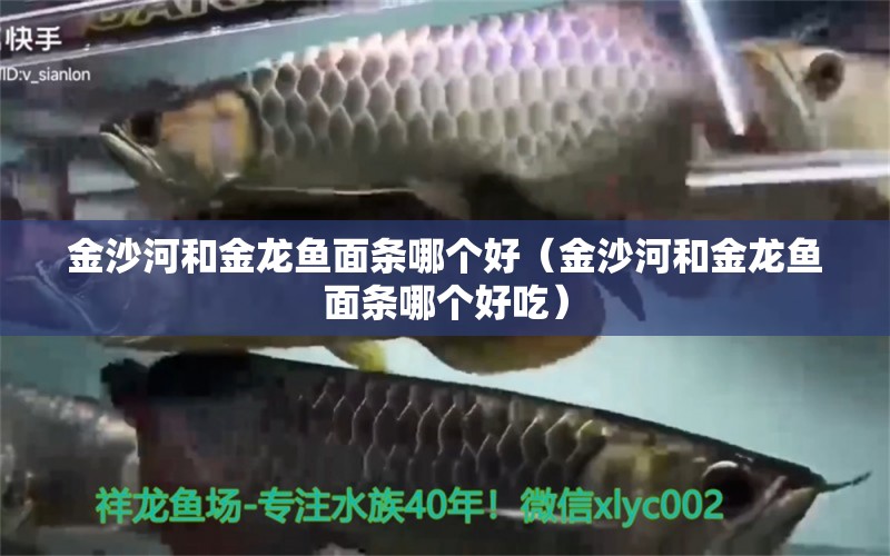 金沙河和金龙鱼面条哪个好（金沙河和金龙鱼面条哪个好吃）