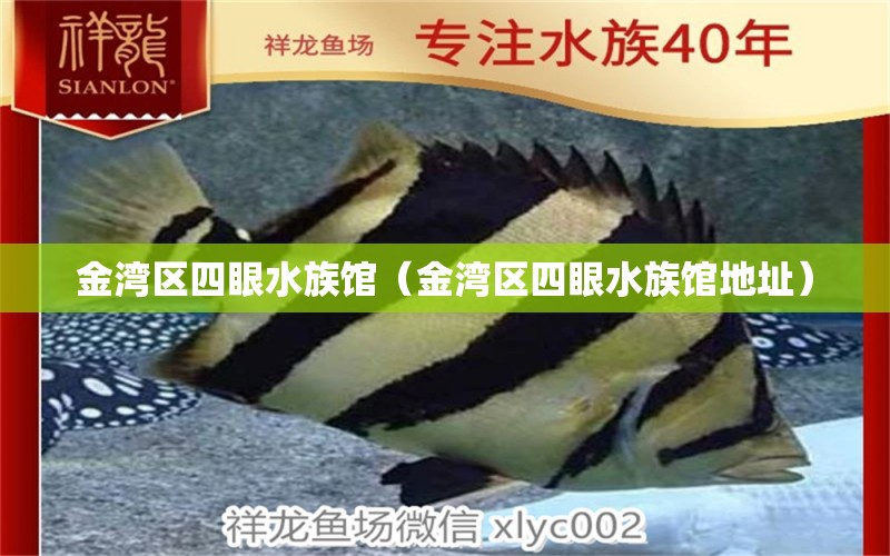 金湾区四眼水族馆（金湾区四眼水族馆地址）