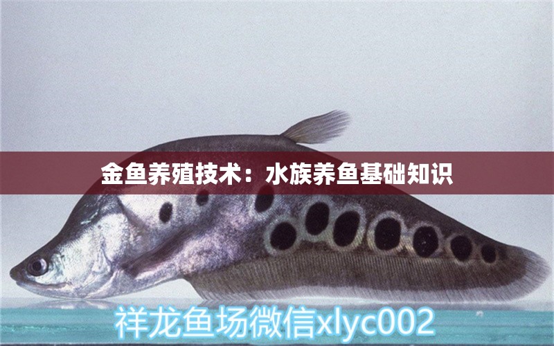 金鱼养殖技术：水族养鱼基础知识