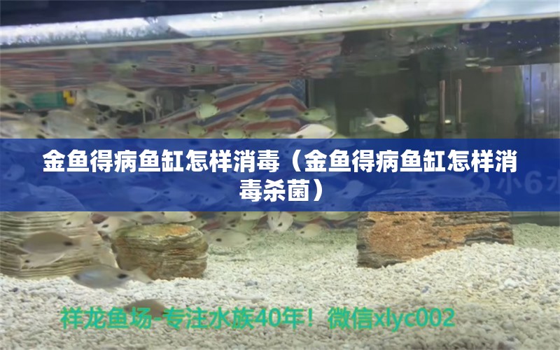 金鱼得病鱼缸怎样消毒（金鱼得病鱼缸怎样消毒杀菌） 祥龙水族医院