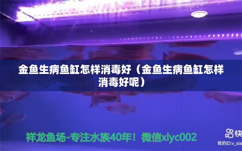 金鱼生病鱼缸怎样消毒好（金鱼生病鱼缸怎样消毒好呢） 祥龙鱼场