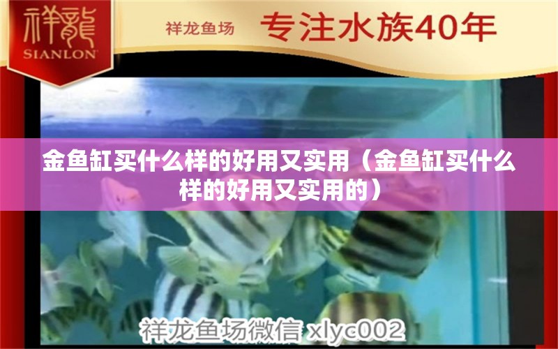 金鱼缸买什么样的好用又实用（金鱼缸买什么样的好用又实用的） 观赏鱼市场（混养鱼）