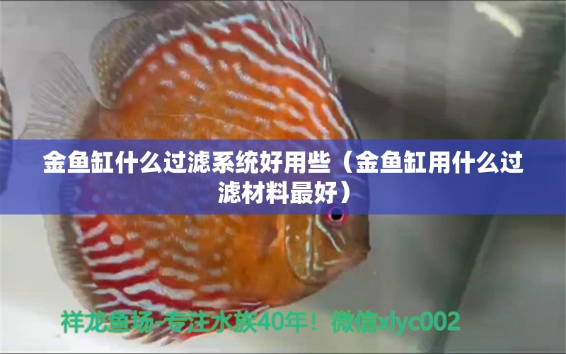 金鱼缸什么过滤系统好用些（金鱼缸用什么过滤材料最好）