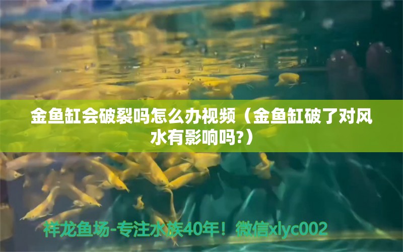 金鱼缸会破裂吗怎么办视频（金鱼缸破了对风水有影响吗?）