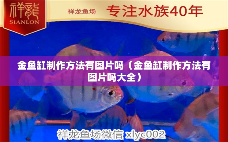 金鱼缸制作方法有图片吗（金鱼缸制作方法有图片吗大全） 祥龙水族医院