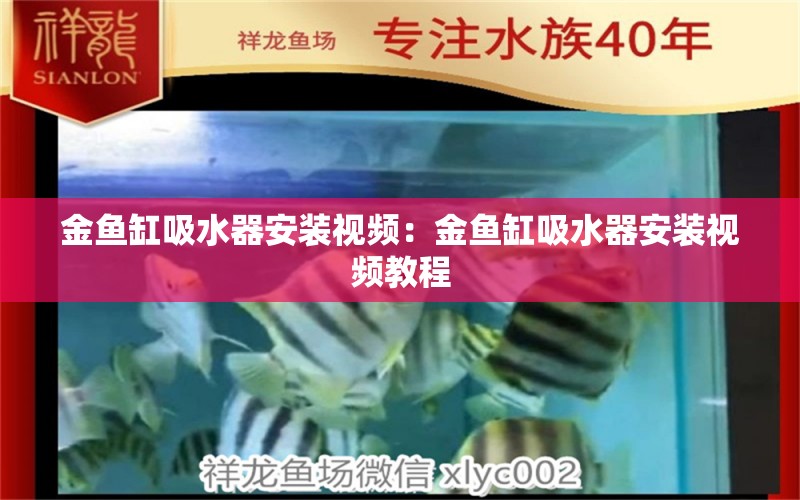 金鱼缸吸水器安装视频：金鱼缸吸水器安装视频教程