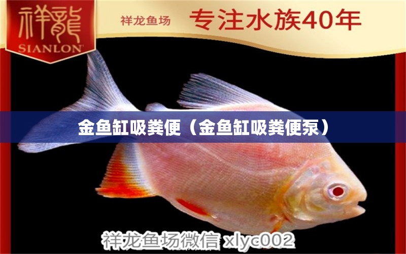 金鱼缸吸粪便（金鱼缸吸粪便泵） 祥龙水族医院