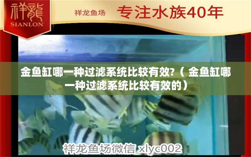 金鱼缸哪一种过滤系统比较有效?（ 金鱼缸哪一种过滤系统比较有效的）