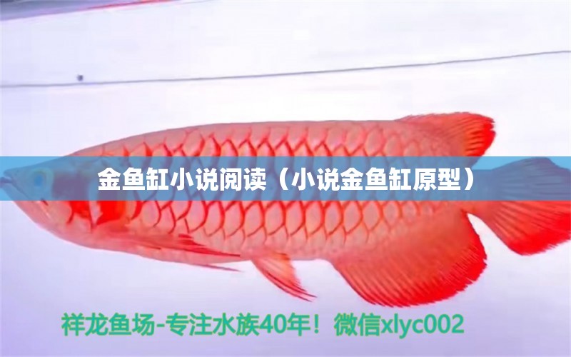 金鱼缸小说阅读（小说金鱼缸原型） 祥龙水族医院