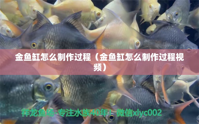 金鱼缸怎么制作过程（金鱼缸怎么制作过程视频） 祥龙水族医院