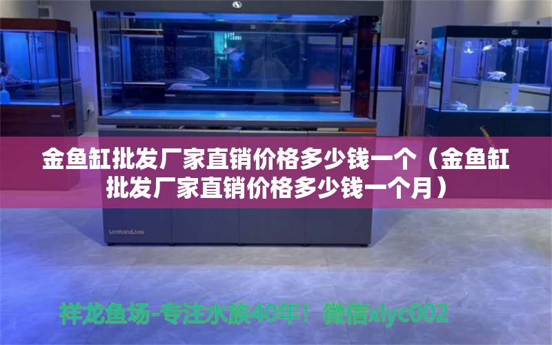 金鱼缸批发厂家直销价格多少钱一个（金鱼缸批发厂家直销价格多少钱一个月）