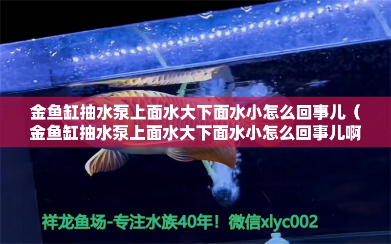 金鱼缸抽水泵上面水大下面水小怎么回事儿（金鱼缸抽水泵上面水大下面水小怎么回事儿啊）