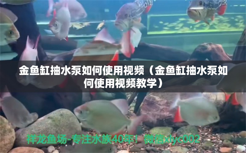 金鱼缸抽水泵如何使用视频（金鱼缸抽水泵如何使用视频教学）