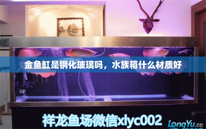 金鱼缸是钢化玻璃吗，水族箱什么材质好 鱼缸/水族箱